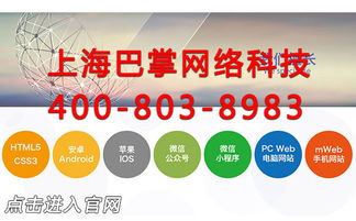 上海微系统定制开发公司