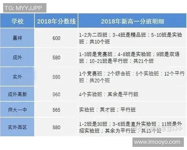 成都羽毛球队以78分稳居欧锦赛积分榜首位展现强劲实力